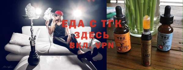 гашик Тында