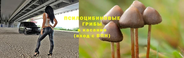 гашик Тында