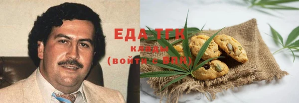гашик Тында