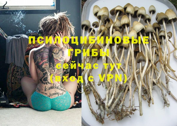 гашик Тында