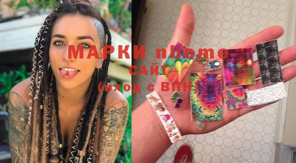 гашик Тында