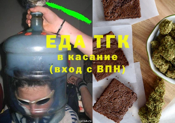 гашик Тында