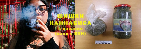 гашик Тында