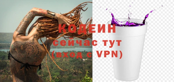 гашик Тында