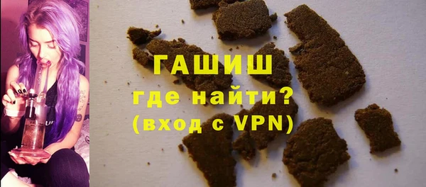 гашик Тында